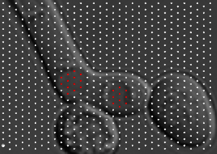 Cells - Spatio Temporal Simulation Cells - Spatio Temporal Simulation